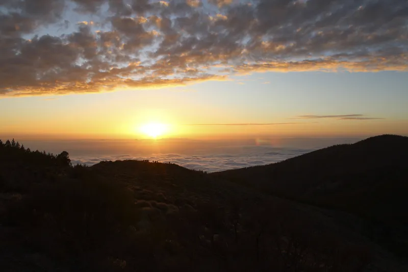 Atardecer sobre el bosque de pinos de la Corona Forestal durante una ruta en quad